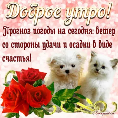 Открытка с пожеланиями Доброе утро