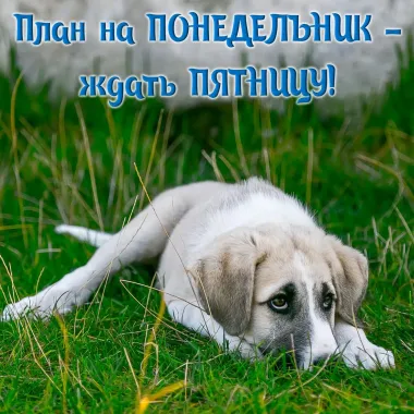 Открытка с пожеланиями Поздравление, красивое пожелание Скачать стильно, прикольно, коротко, своими словами