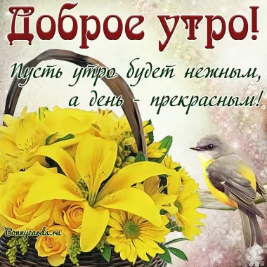 Открытка с пожеланиями Доброе утро