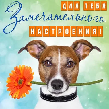 Открытка с пожеланиями Хорошего настроения