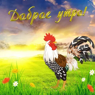 Открытка с пожеланиями Доброе утро