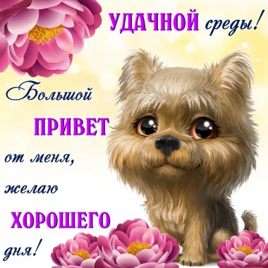 Открытка с пожеланиями Доброе утро