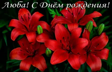 Открытка с пожеланиями Поздравление, красивое пожелание Красивая картинка люба, с стильно, прикольно, коротко, своими словами