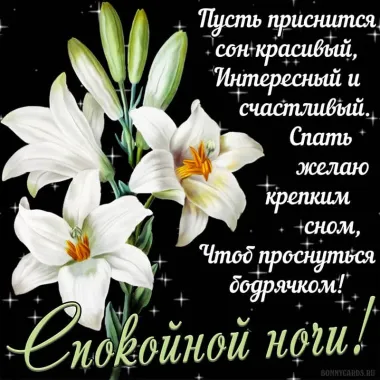 Открытка с пожеланиями Спокойной ночи