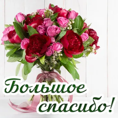 Открытка с пожеланиями Спасибо