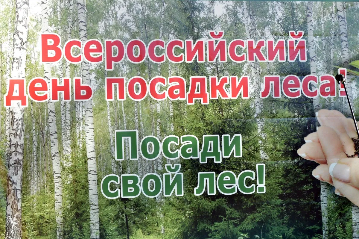 Открытка с пожеланиями Поздравление, красивое пожелание Картинка всероссийский день стильно, прикольно, коротко, своими словами