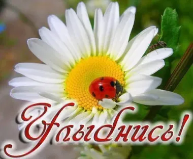 Открытка с пожеланиями Поздравление, красивое пожелание Картинка с стильно, прикольно, коротко, своими словами