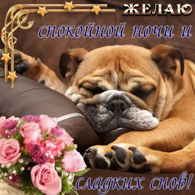 Открытка с пожеланиями Спокойной ночи