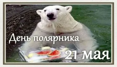 Открытка с пожеланиями Поздравление, красивое пожелание Картинка стильно, прикольно, коротко, своими словами