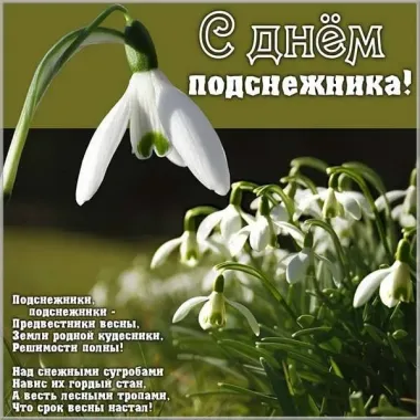 Открытка с пожеланиями Поздравление, красивое пожелание Красивая открытка с стильно, прикольно, коротко, своими словами