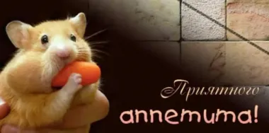 Открытка с пожеланиями Поздравление, красивое пожелание Прикольное пожелание стильно, прикольно, коротко, своими словами