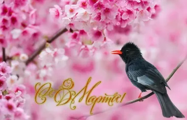 Открытка с пожеланиями Поздравление, красивое пожелание Красивая открытка с стильно, прикольно, коротко, своими словами