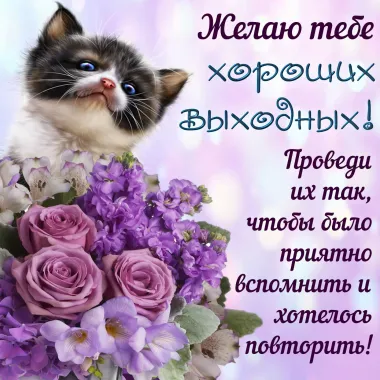 Открытка с пожеланиями Поздравление, красивое пожелание Желаю стильно, прикольно, коротко, своими словами