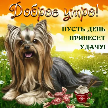 Открытка с пожеланиями Доброе утро