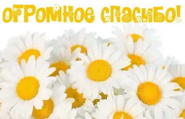 Открытка с пожеланиями Спасибо