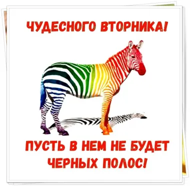 Открытка с пожеланиями Вторник