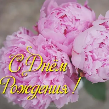 Открытка с пожеланиями Пионы