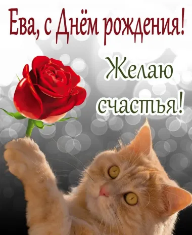 Открытка с пожеланиями Поздравление, красивое пожелание Прикольная картинка ева, с стильно, прикольно, коротко, своими словами