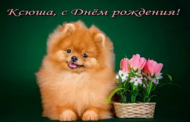 Открытка с пожеланиями Поздравление, красивое пожелание Нежная картинка для ксюши в стильно, прикольно, коротко, своими словами