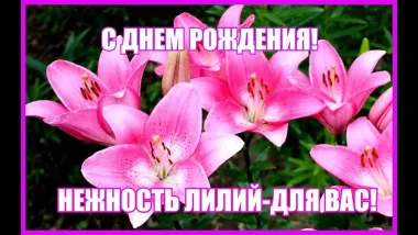 Открытка с пожеланиями Лилии