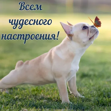 Открытка с пожеланиями Хорошего настроения