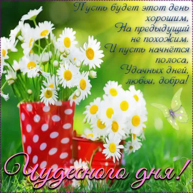Открытка с пожеланиями Поздравление, красивое пожелание Картинка с ромашками и пожеланием стильно, прикольно, коротко, своими словами