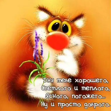 Открытка с пожеланиями Поздравление, красивое пожелание Прикольное пожелание стильно, прикольно, коротко, своими словами