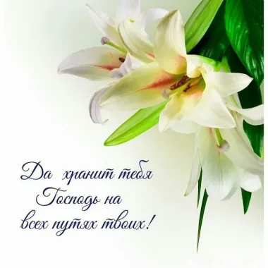 Открытка с пожеланиями Лилии