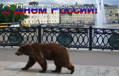 Открытка с пожеланиями Поздравление, красивое пожелание Прикольная картинка с стильно, прикольно, коротко, своими словами