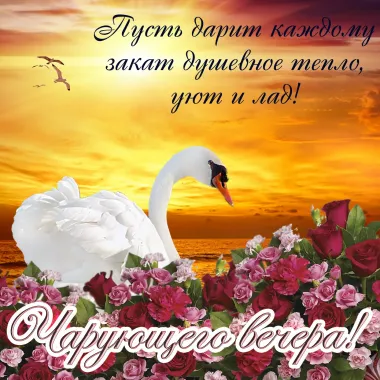 Открытка с пожеланиями Хорошего вечера