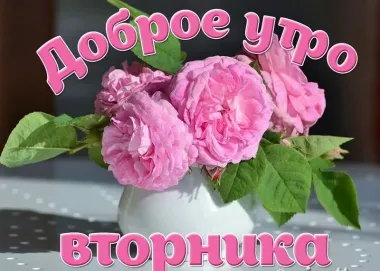 Открытка с пожеланиями Вторник