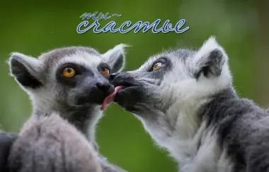 Открытка с пожеланиями Поздравление, красивое пожелание  стильно, прикольно, коротко, своими словами