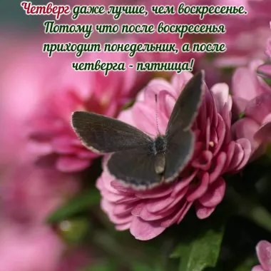 Открытка с пожеланиями Четверг