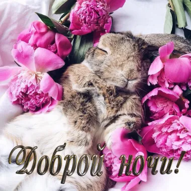 Открытка с пожеланиями Спокойной ночи