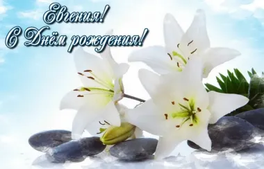 Открытка с пожеланиями Поздравление, красивое пожелание Нежная картинка евгения, с стильно, прикольно, коротко, своими словами