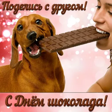 Открытка с пожеланиями Поздравление, красивое пожелание Прикольная открытка с стильно, прикольно, коротко, своими словами