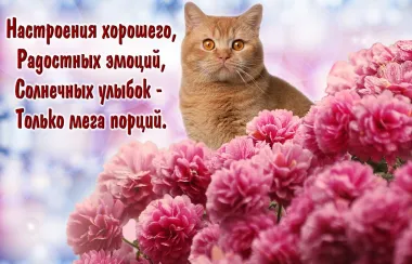 Открытка с пожеланиями Поздравление, красивое пожелание Скачать открытку с пожеланиями стильно, прикольно, коротко, своими словами