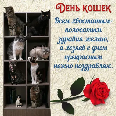 Открытка с пожеланиями Поздравление, красивое пожелание С днём кошек стильно, прикольно, коротко, своими словами