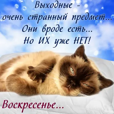 Открытка с пожеланиями Воскресенье