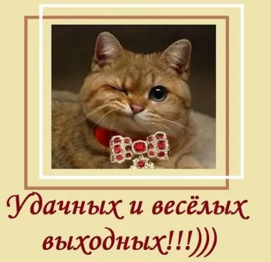 Открытка с пожеланиями Поздравление, красивое пожелание  стильно, прикольно, коротко, своими словами