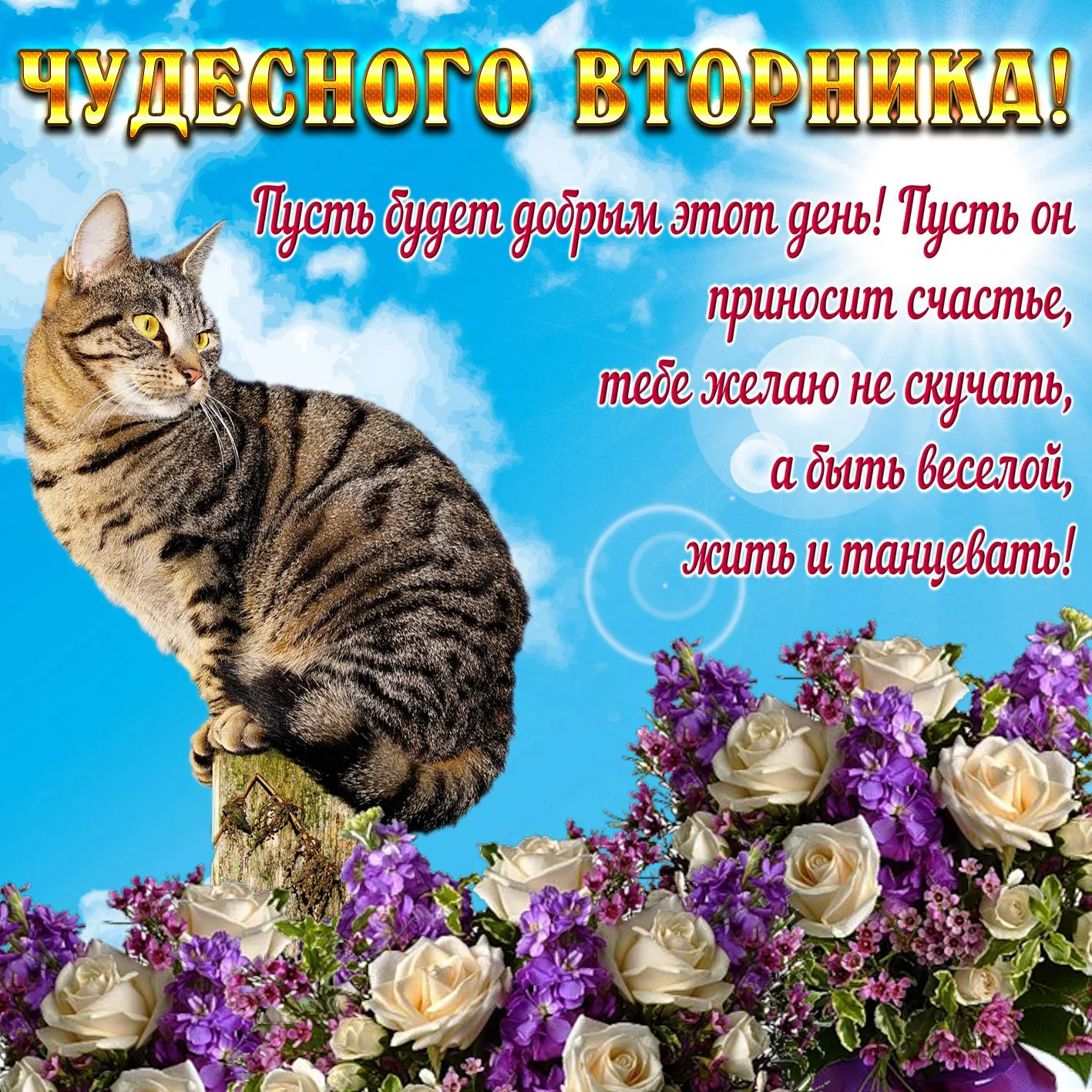 Открытка с пожеланиями 