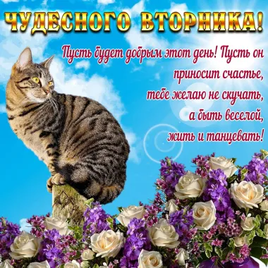 Открытка с пожеланиями Вторник