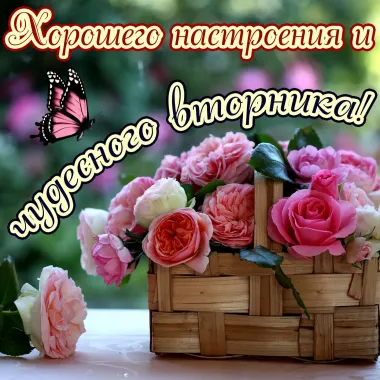 Открытка с пожеланиями Вторник