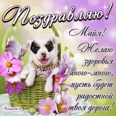 Открытка с пожеланиями Поздравление, красивое пожелание Прикольная картинка для майи в стильно, прикольно, коротко, своими словами