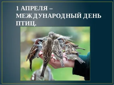 Открытка с пожеланиями Поздравление, красивое пожелание Картинка с международным стильно, прикольно, коротко, своими словами