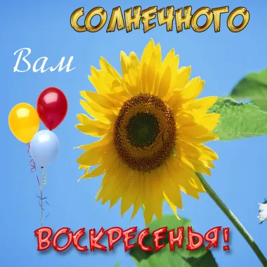 Открытка с пожеланиями Воскресенье
