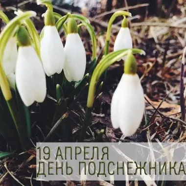 Открытка с пожеланиями Поздравление, красивое пожелание Картинка стильно, прикольно, коротко, своими словами