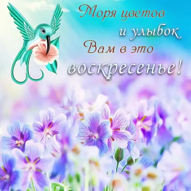 Открытка с пожеланиями Воскресенье