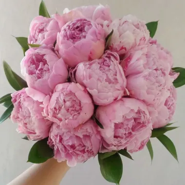 Открытка с пожеланиями Пионы