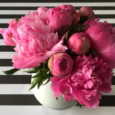 Открытка с пожеланиями Пионы